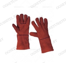 ����� �������� "����" (���� ���������)