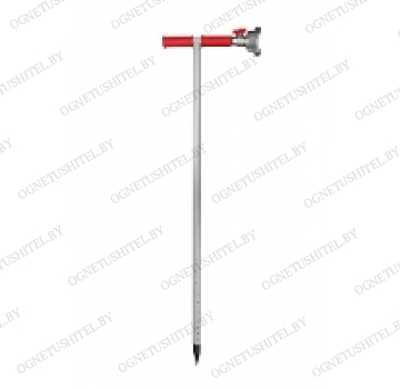 ����� �������� 