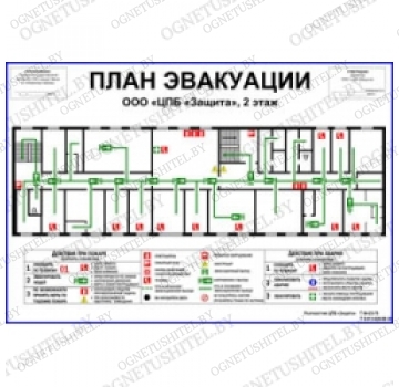 ������������ ������ ���������